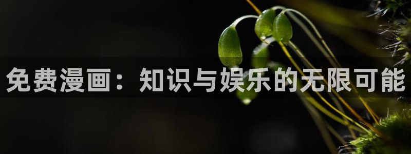 韩漫免费观看在线阅读漫画